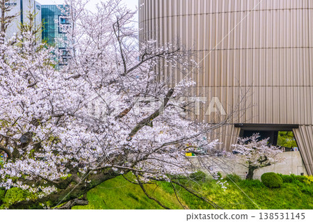 The urban landscape of Tokyo, Japan... We must never forget that tragedy... A view of the Showa-kan building in front of Kudanshita Station. Cherry blossom season is coming again... = 5th 138531145