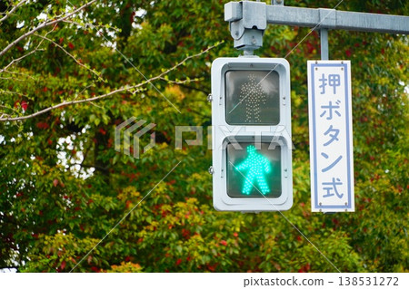 Pedestrian traffic light: Green Pedestrian traffic light: Green 138531272