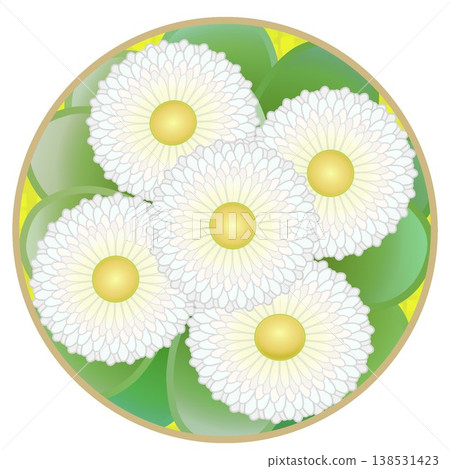 雛菊插圖,圓形背景 雛菊插圖,圓形背景 138531423