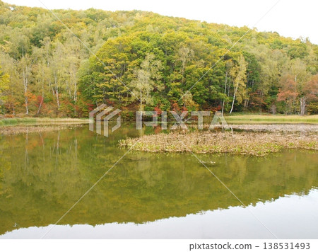 Autumn leaves reflected in a pond Autumn leaves reflected in a pond 138531493
