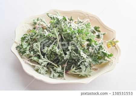 新鮮採摘的艾草 新鮮採摘的艾草 138531553