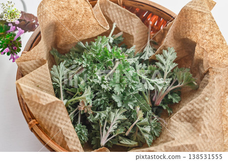 新鮮採摘的艾草 新鮮採摘的艾草 138531555