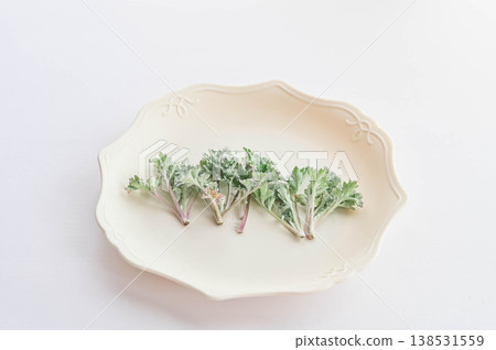 Young shoots of freshly picked mugwort Young shoots of freshly picked mugwort 138531559