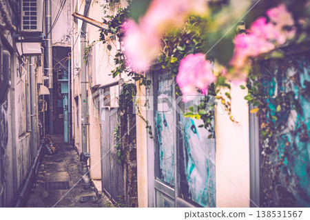 A street in the back alleys of Okinawa A street in the back alleys of Okinawa 138531567