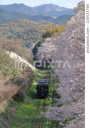 平成築峰鐵道柴油列車、油菜花和櫻花 平成築峰鐵道柴油列車、油菜花和櫻花 138531780