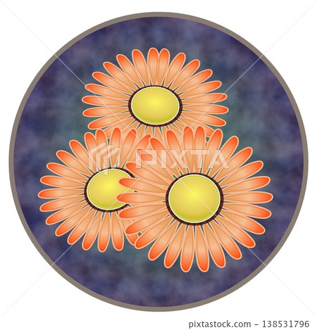 Daisy illustration with a circular background Daisy illustration with a circular background 138531796