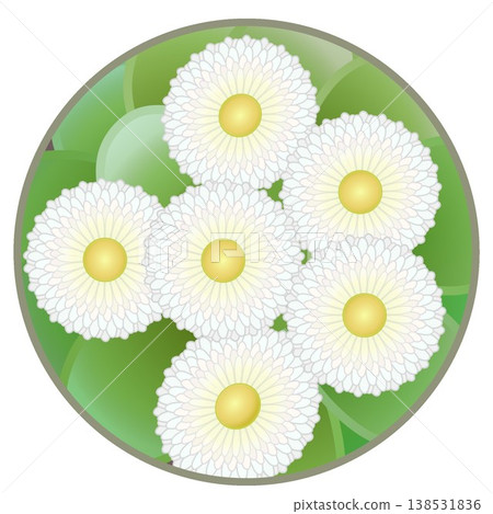 雛菊插圖,圓形背景 雛菊插圖,圓形背景 138531836
