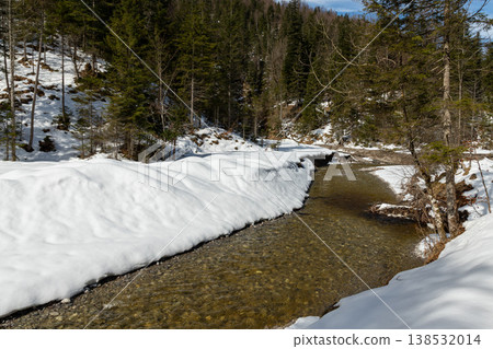Clear alpine stream winding through snow banks and evergreen forest Clear alpine stream winding through snow banks and evergreen forest 138532014