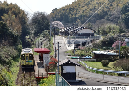 平成築峰鐵道柴油列車、油菜花和櫻花 平成築峰鐵道柴油列車、油菜花和櫻花 138532083