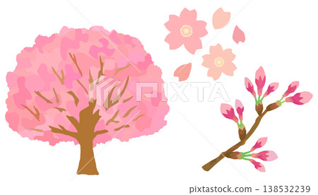 櫻花素材包：櫻花樹、櫻花花瓣、櫻花花蕾（向量材料） 138532239