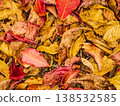 Autumn leaves background, natural texture 138532585