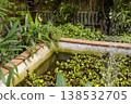 Water fountain spraying in a greenhouse pond basin surrounded by tropical Philodendron and Ivy 138532705
