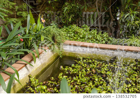Water fountain spraying in a greenhouse pond basin surrounded by tropical Philodendron and Ivy Water fountain spraying in a greenhouse pond basin surrounded by tropical Philodendron and Ivy 138532705