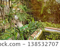 Tropical pond in a concrete basin surrounded by lush Philodendron and Clivia plants. 138532707