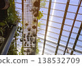 Sunlit greenhouse ceiling made of corrugated panels with metal support structures 138532709