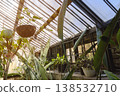 Interior of a large glasshouse with metal structures, hanging baskets, and lush tropical flora 138532710