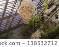 Sunlight streaming through a glass greenhouse roof onto a luxury chandelier and vines 138532712