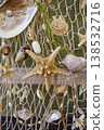 Natural sea star with diverse shells on a nautical net layout. Vivid colors of nature. 138532716