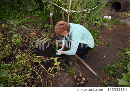 Woman gardening in her backyard, preparing soil for planting vegetables during autumn Woman gardening in her backyard, preparing soil for planting vegetables during autumn 138533184