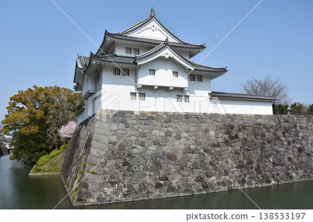 Sunpu Castle - Hitsujisaru Turret Sunpu Castle - Hitsujisaru Turret 138533197