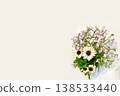 A bouquet of Osteospermum and Linaria, spring flowers, against a white background. 138533440