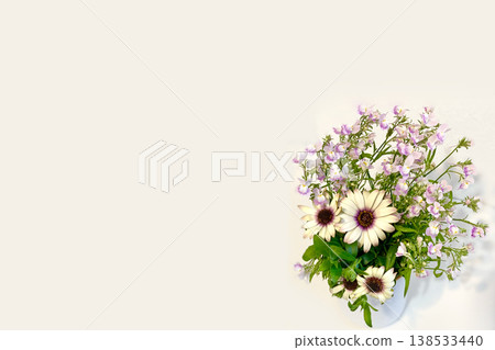A bouquet of Osteospermum and Linaria, spring flowers, against a white background. 138533440