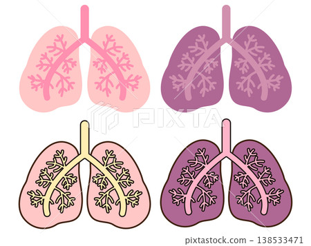 Lung illustration set Lung illustration set 138533471