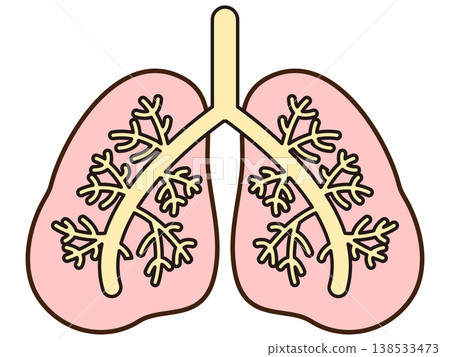 Lung illustration material 2 138533473