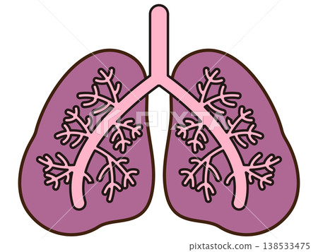 肺部插圖材料 4 138533475
