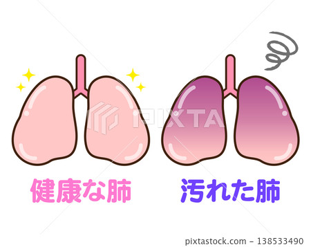 Illustrations of healthy lungs and dirty lungs (3) Illustrations of healthy lungs and dirty lungs (3) 138533490