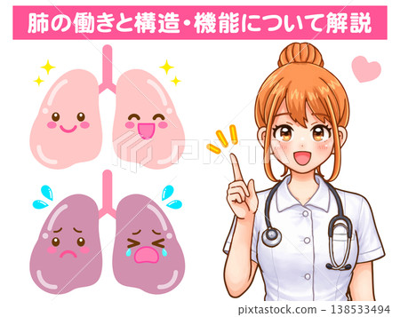 醫學插畫素材4:護理師講解肺部結構 醫學插畫素材4:護理師講解肺部結構 138533494