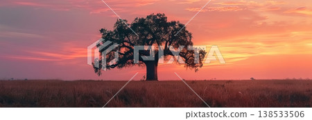 Serene savanna sunset with majestic baobab silhouette. Copy space. Banner Serene savanna sunset with majestic baobab silhouette. Copy space. Banner 138533506