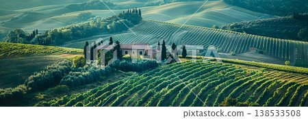 Rolling hills with lush farmland and crops in countryside landscape. Banner Rolling hills with lush farmland and crops in countryside landscape. Banner 138533508