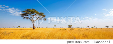 Expansive Savanna Landscape with Golden Grasses Stretching Under a Blue Sky - Concept of African Wilderness, Tranquility, Natural Beauty, and Open Spaces. Banner 138533561
