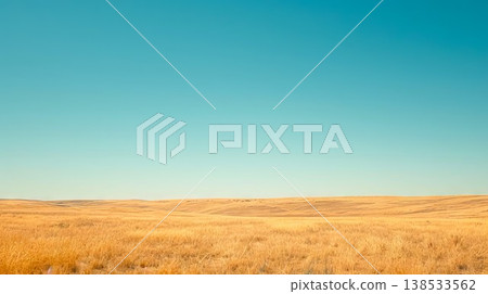 Expansive Plain with Golden Wheat Fields Under a Clear Blue Sky, Concept of Agriculture, Tranquility, Nature's Bounty, and Rural Landscapes 138533562