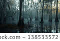 Dense Swamp Landscape with Tall Cypress Trees Emerging from Misty Waters Concept of Wetlands Serenity, Mystical Forests, Tranquil Nature, and Enigmatic Ecosystems 138533572