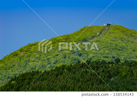 Tsurumidake fresh green 138534143
