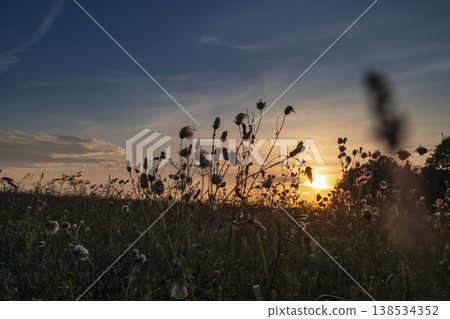 Golden sunset paints the sky as wildflowers dance gently in the evening breeze over a tranquil meadow 138534352