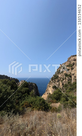 Cliffs ocean trees. High quality 4k footage 138534652