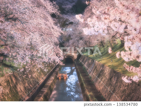 The Lake Biwa Canal, a National Treasure, at Night 138534780