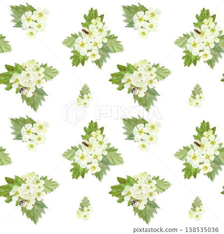 A seamless pattern of white barberry flowers and leaves with bees. Hand-drawn watercolor illustration on an isolated background. Botanical spring clip art for textiles, wrapping paper, and design. A seamless pattern of white barberry flowers and leaves with bees. Hand-drawn watercolor illustration on an isolated background. Botanical spring clip art for textiles, wrapping paper, and design. 138535036