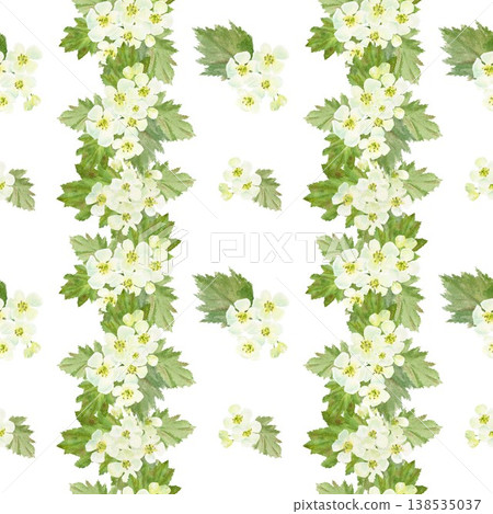 A seamless pattern of white barberry flowers and leaves with stripes. Hand-drawn watercolor illustration on an isolated background. Botanical spring clip art for textiles, wrapping paper, and design. A seamless pattern of white barberry flowers and leaves with stripes. Hand-drawn watercolor illustration on an isolated background. Botanical spring clip art for textiles, wrapping paper, and design. 138535037