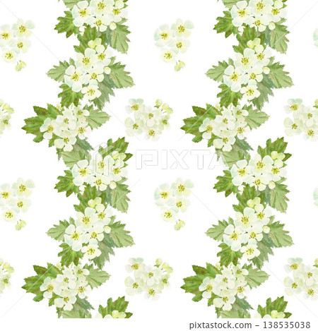 A seamless pattern of white barberry flowers and leaves with stripes. Hand-drawn watercolor illustration on an isolated background. Botanical spring clip art for textiles, wrapping paper, and design. 138535038