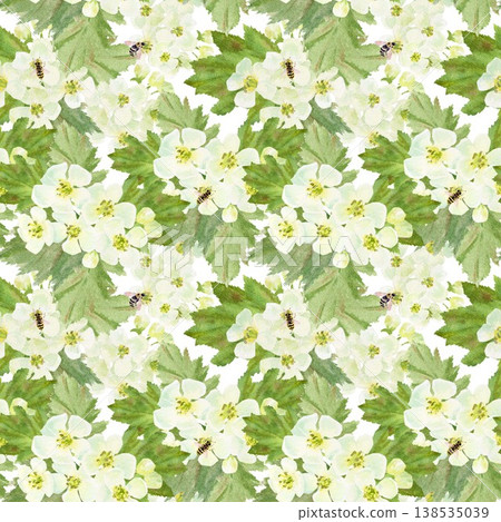 A seamless pattern of white barberry flowers and leaves with bees. Hand-drawn watercolor illustration on an isolated background. Botanical spring clip art for textiles, wrapping paper, and design A seamless pattern of white barberry flowers and leaves with bees. Hand-drawn watercolor illustration on an isolated background. Botanical spring clip art for textiles, wrapping paper, and design 138535039