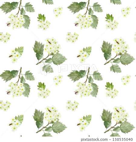 Seamless pattern of branches with white hawthorn flowers and leaves and bees. Hand-drawn watercolor illustration on an isolated background. Botanical clip art for textiles, wrapping paper, and design. Seamless pattern of branches with white hawthorn flowers and leaves and bees. Hand-drawn watercolor illustration on an isolated background. Botanical clip art for textiles, wrapping paper, and design. 138535040