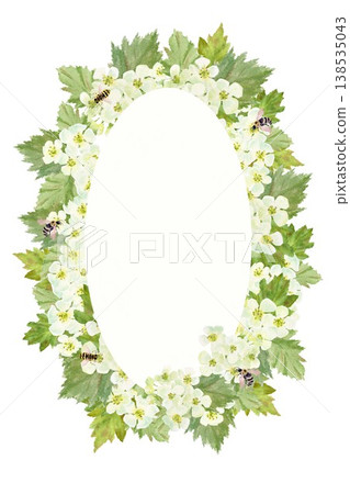 A oval frame with white hawthorn flowers, leaves and bee, hand-drawn watercolor illustration on an isolated background. Simple spring clip art with space for text, decoration, and design A oval frame with white hawthorn flowers, leaves and bee, hand-drawn watercolor illustration on an isolated background. Simple spring clip art with space for text, decoration, and design 138535043