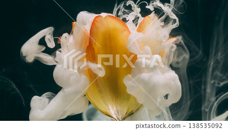 Flower water. Smoke ink. Defocused white color tulip plant nature drop pink yellow wet flowing on abstract art dark black background. 138535092