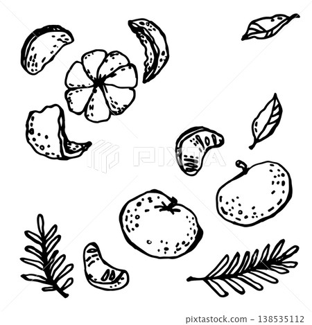 A stylized tangerines and with fir branches A stylized tangerines and with fir branches 138535112