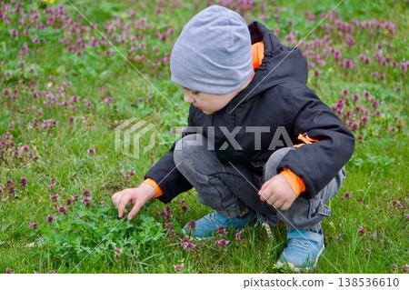 Little boy sitting on his haunches and exploring green grass in spring park. 138536610