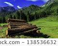 Stacked timber logs in alpine landscape with forest and mountains 138536632